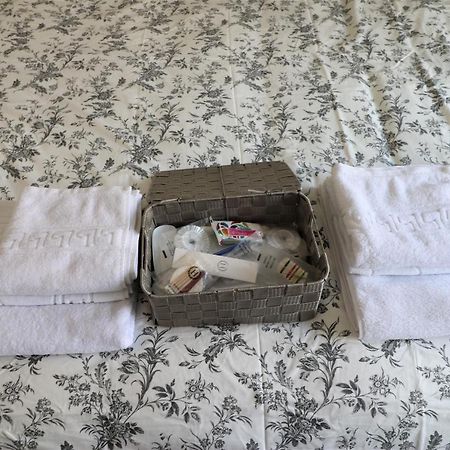 Lovely City Center Apartment - Free Minibar بوخارست المظهر الخارجي الصورة